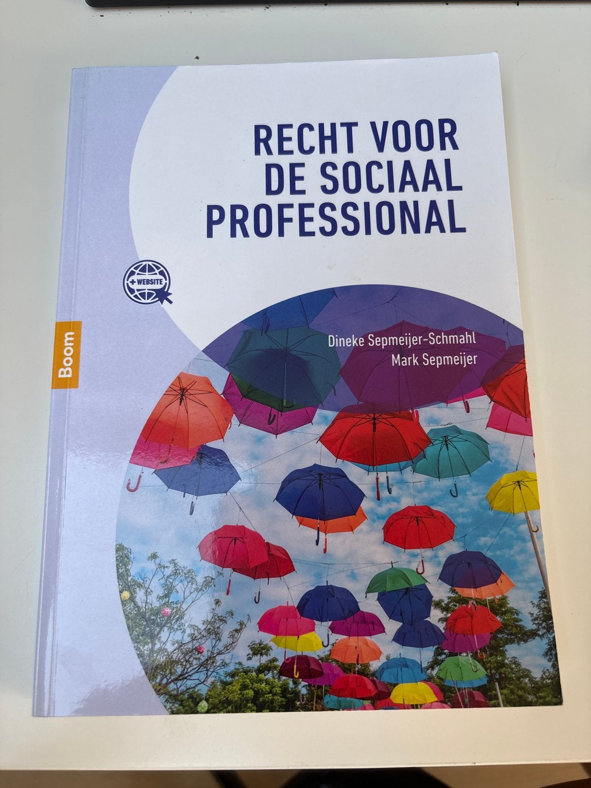 Recht voor de Sociaal Professional - Studieboek, Boeken, Ophalen of Verzenden, Gamma, Zo goed als nieuw, HBO