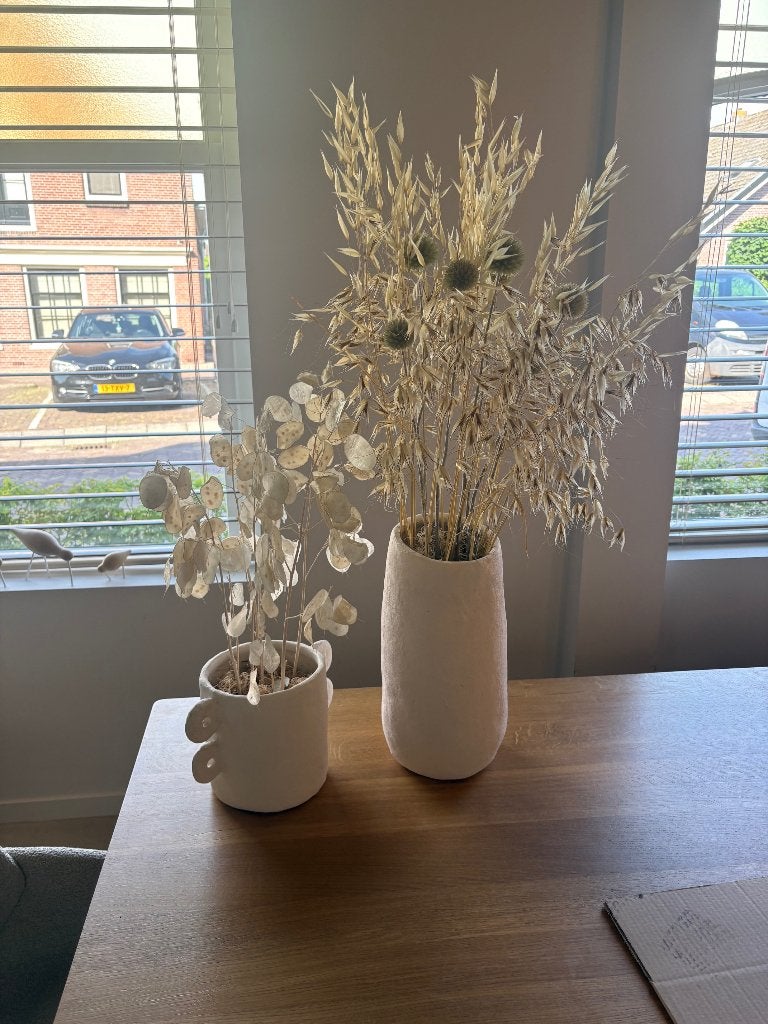 2 serax potten met droogbloem creatie, Ophalen, Gebruikt