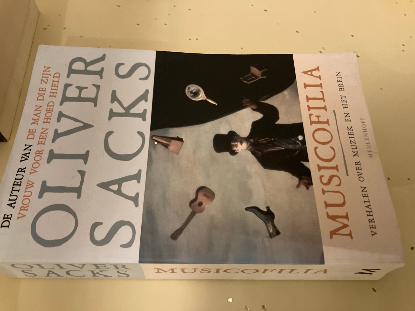 Musicofilia - Oliver Sacks (Verhalen over muziek en het brei, Boeken, Ophalen of Verzenden, Gelezen, Algemeen