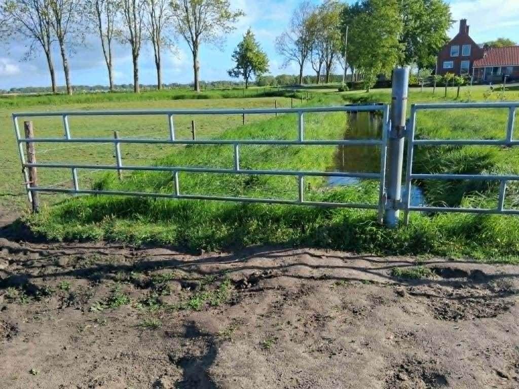 landhekken te koop, Dieren en Toebehoren, Stalling en Weidegang