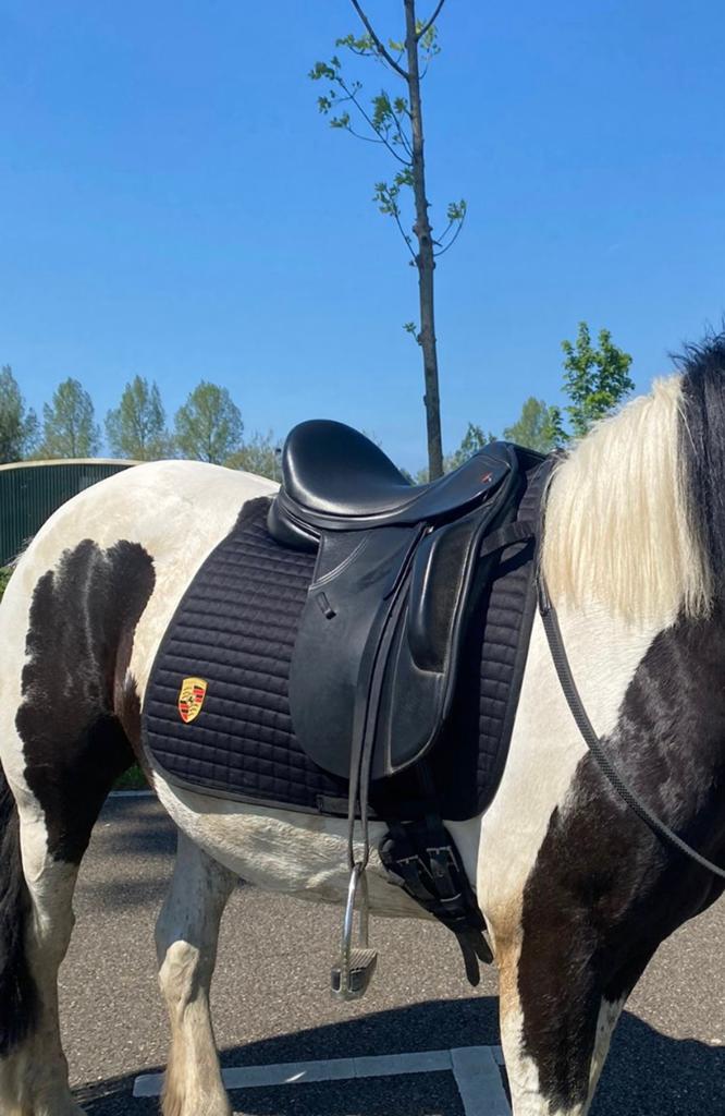 Bmw-Porsche dekje! Full dressuur ALLEEN VANDAAG 50€, Dieren en Toebehoren, Ophalen of Verzenden