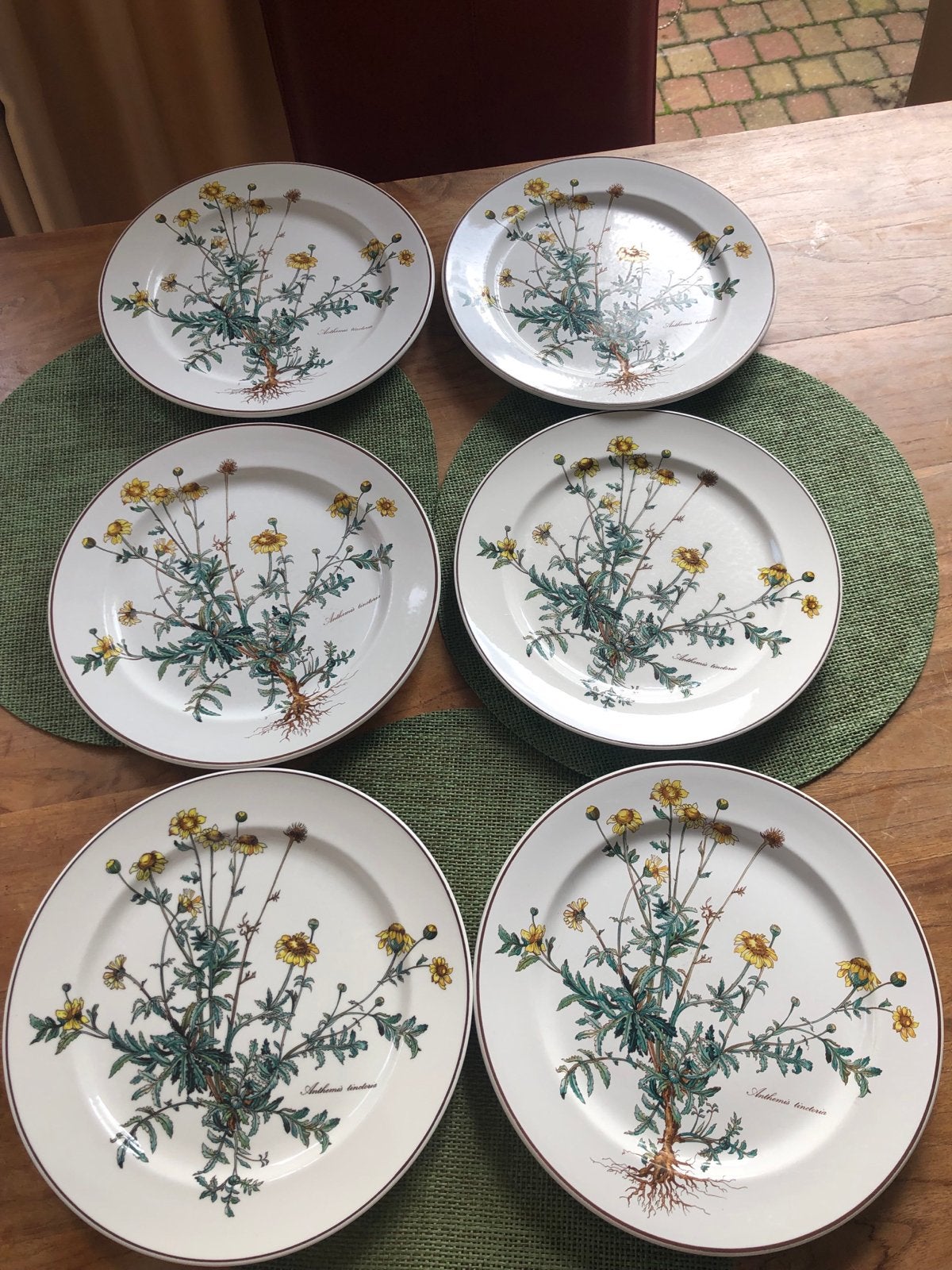 6 x Botanica dinerborden, Gebruikt, Villeroy & Boch, Ophalen of Verzenden, Bord(en)