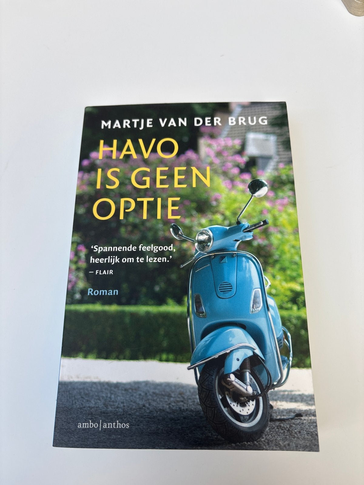 Havo is geen optie - Martje van der Brug (Roman), Ophalen of Verzenden, Zo goed als nieuw, Nederland