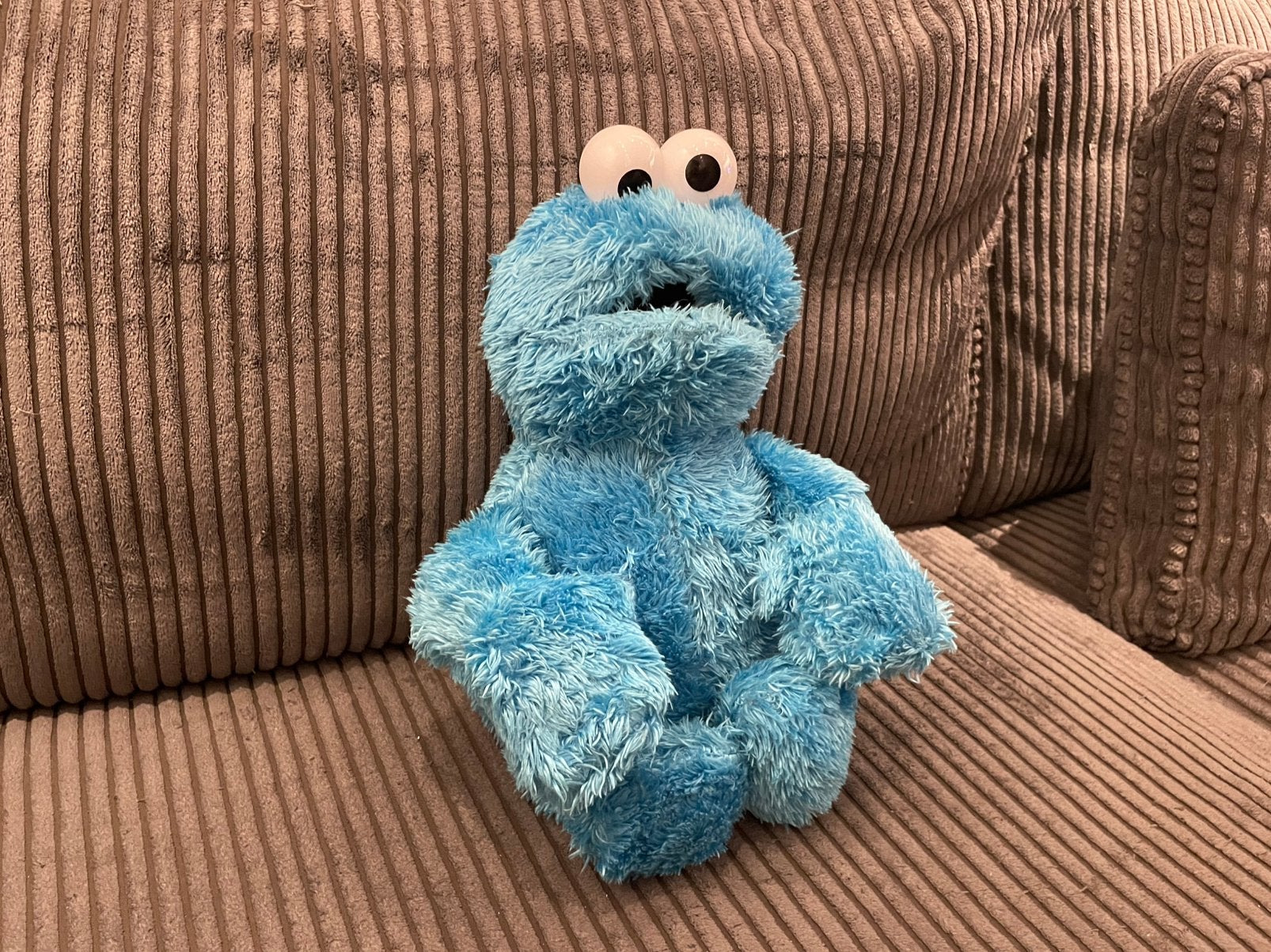 Sesamstraat sesame street knuffel koekiemonster 35 cm groot, Kinderen en Baby's, Gebruikt, Overige typen, Blauw, Ophalen of Verzenden