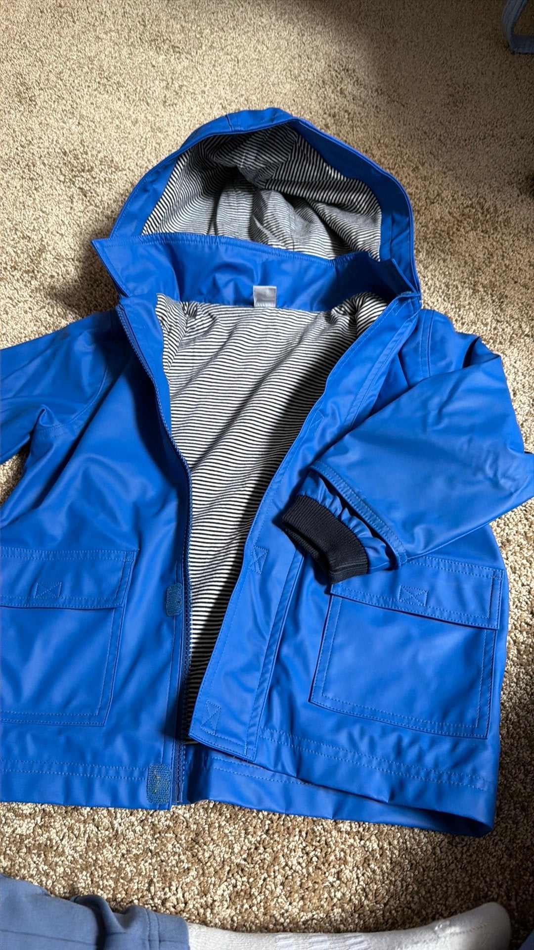 Petit Bateau, Ophalen of Verzenden, Zo goed als nieuw, Jongen of Meisje, Jas
