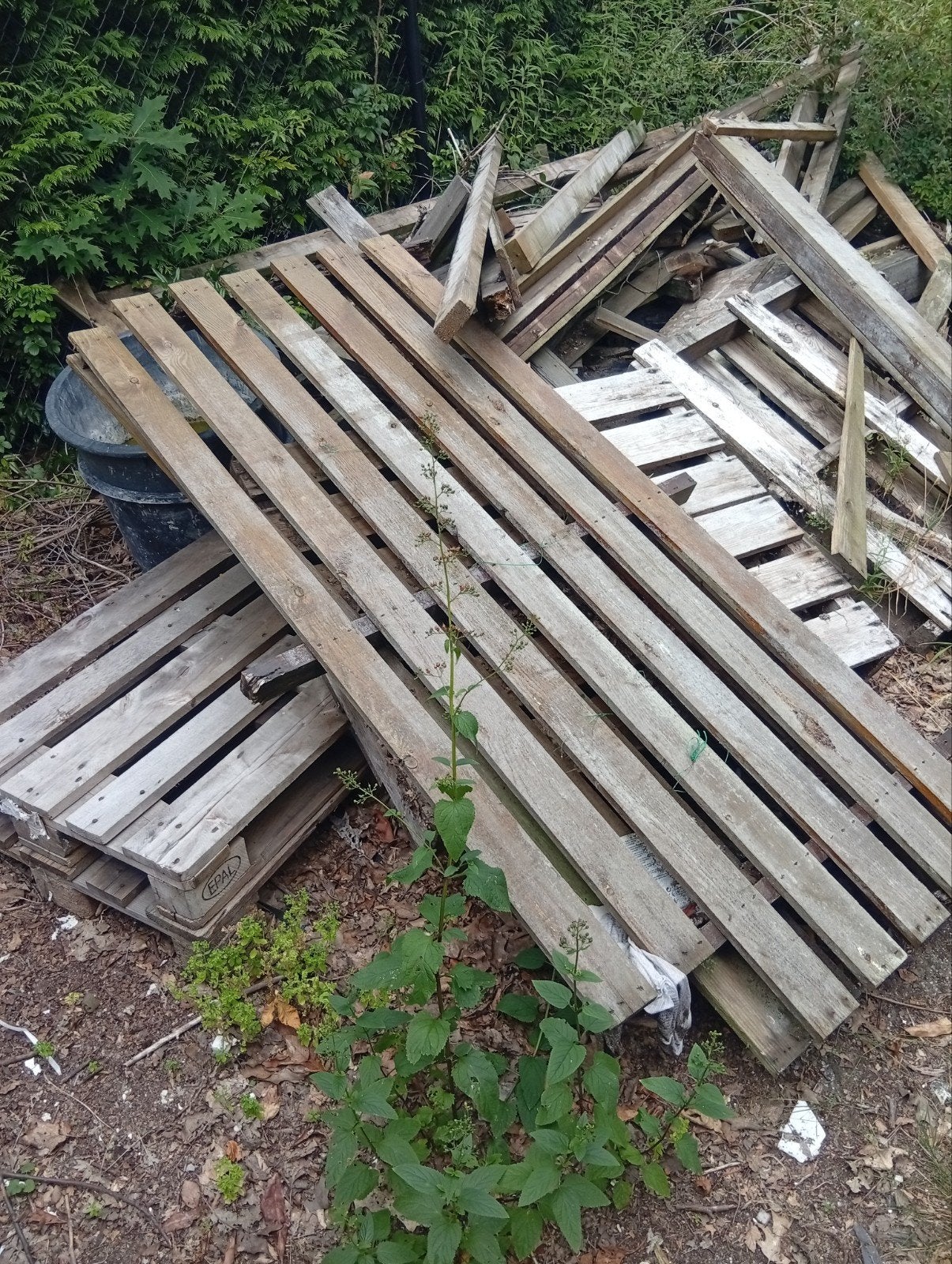 Gratis af te halen: Sloophout, schuttinghout en pallets, Ophalen