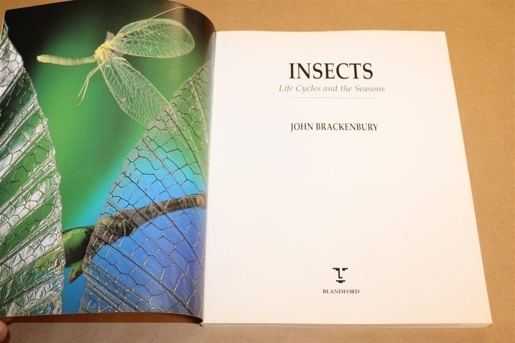 Insecten — Levenscyclus en Seizoenen — Natuur [EN], Ophalen of Verzenden, Gelezen, Overige diersoorten
