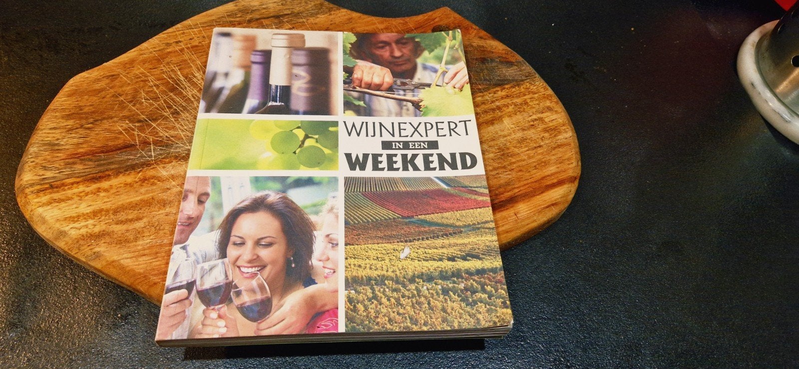 Wijnexpert in een Weekend - Wijnboek Lidl, Ophalen of Verzenden, Zo goed als nieuw, WINELIFE Magazine