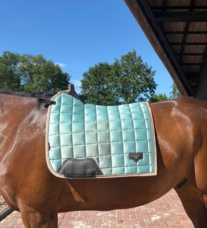 Lemieux en Kingsland dekjes, Dieren en Toebehoren, Paarden en Pony's | Dekens en Dekjes, Full (L), Ophalen of Verzenden, Gebruikt