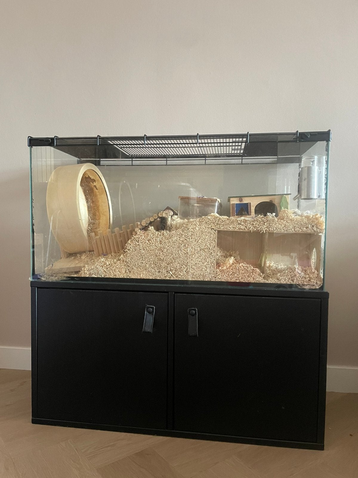 Glazen hamster kooi, Kooi, Gebruikt, Hamster, 75 tot 110 cm