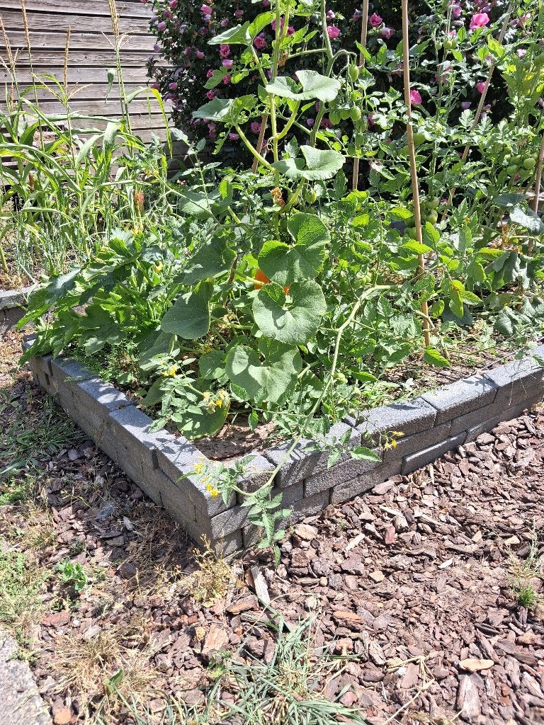 Stenen voor moestuin of paadje, Ophalen, Gebruikt