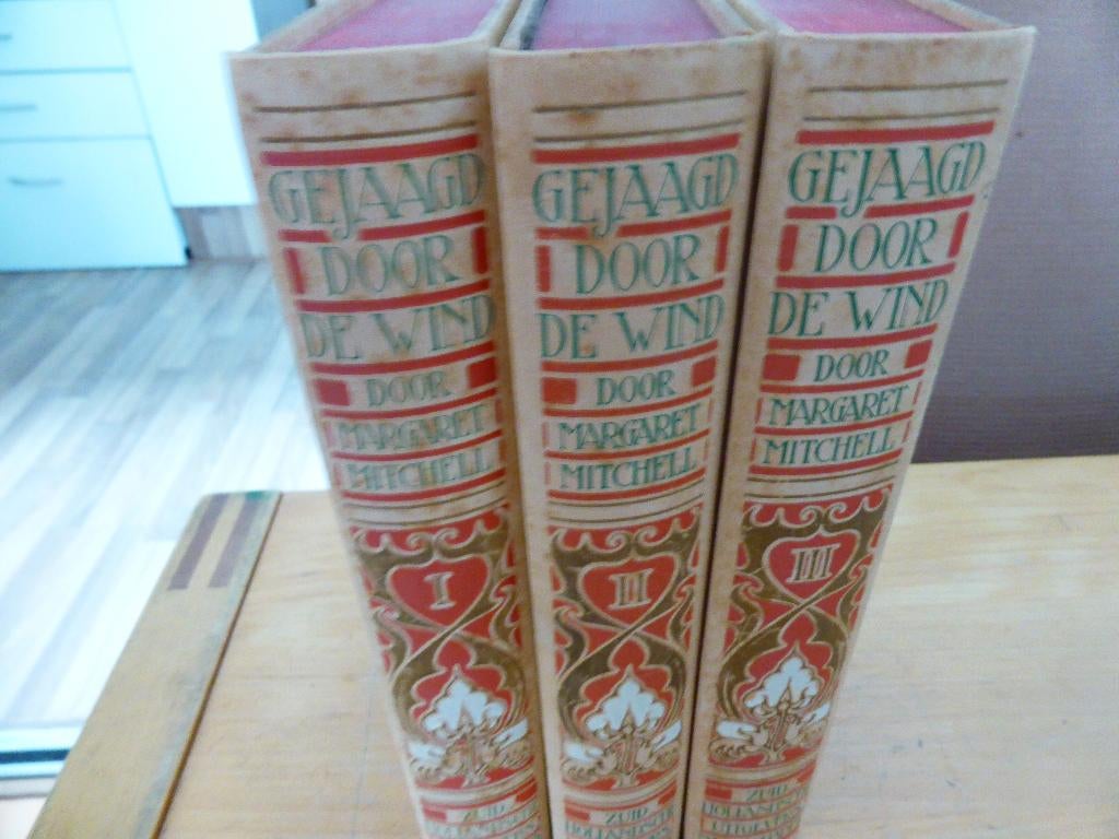 T.k. Boeken GEJAAGD DOOR DE WIND., Ophalen of Verzenden, Gelezen, Amerika
