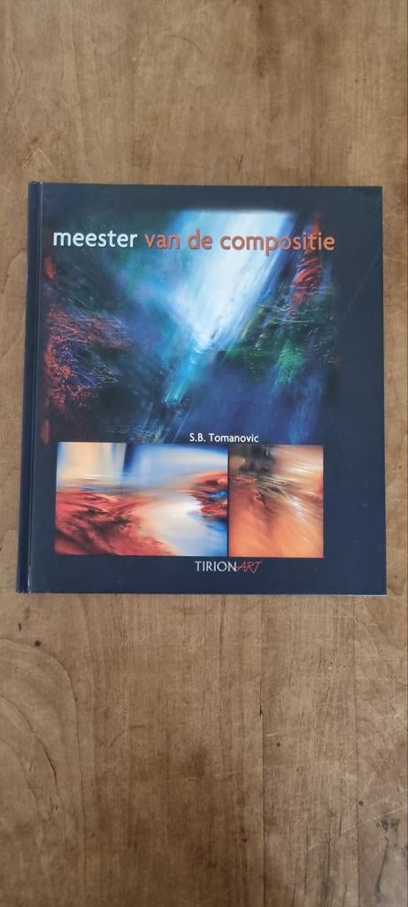 Meester van de Compositie - S.B. Tomanovic (Kunstboek), Boeken, Ophalen of Verzenden, Zo goed als nieuw, Schilder- en Tekenkunst