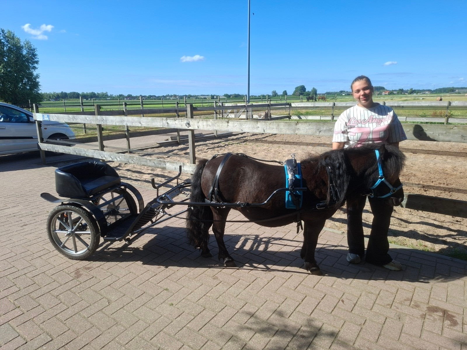 Sulky piroutte hele nette staat, Dieren en Toebehoren, Ophalen, Zo goed als nieuw, Recreatie, Shetlander