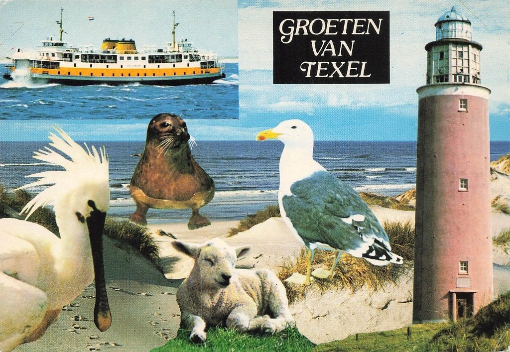 Groeten van Texel, Ophalen of Verzenden, 1980 tot heden, Gelopen, Waddeneilanden