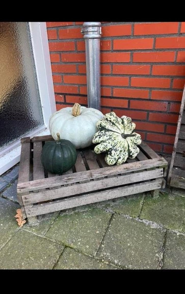 Antieke aardappelkistjes, Ophalen, Zo goed als nieuw, Minder dan 35 cm