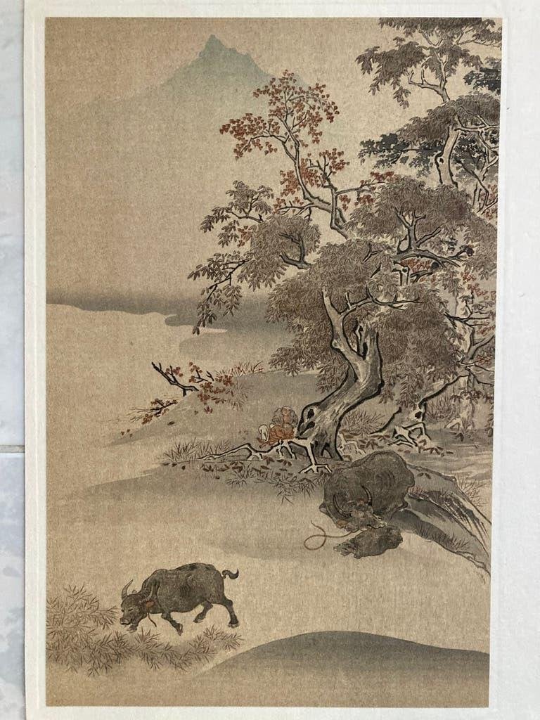 Schitterende Chinese kunst, met omslag, afb. 30x20cm. Mooi!, Overige typen, Ophalen of Verzenden, Papier/karton, China