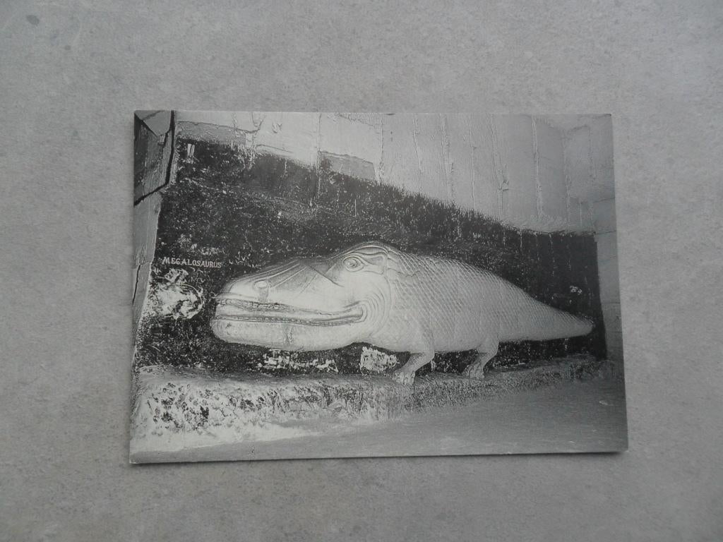 Valkenburg, fluweelengrot Megalosaurus, Verzenden, 1980 tot heden, Ongelopen, Limburg
