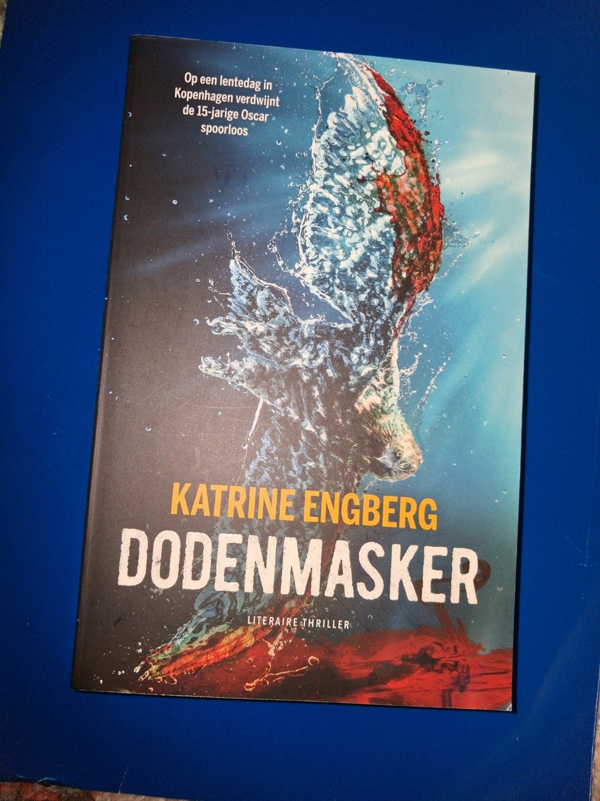 Dodenmasker katrine engberg, Ophalen of Verzenden, 1800 tot 2000, Nederland, Landkaart