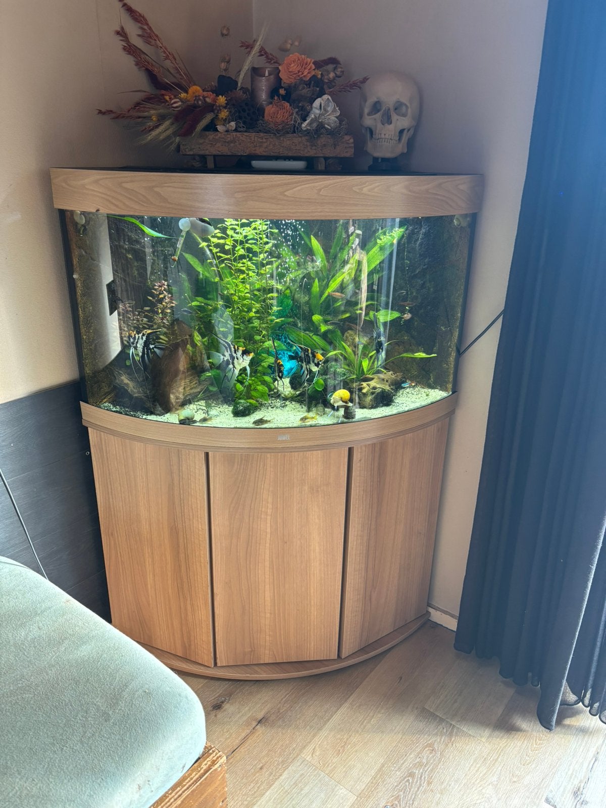 Juwel trigon 190, Ophalen, Zo goed als nieuw, Leeg aquarium
