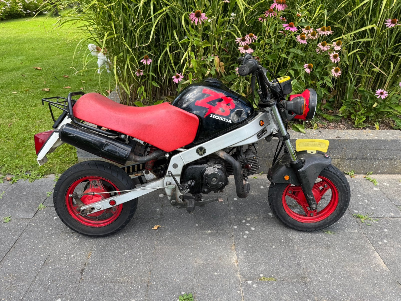 Honda ZB restauratie project, Ophalen, Gebruikt, Maximaal 45 km/u, 49 cc