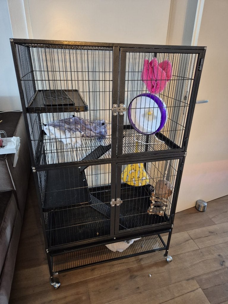 Ratten kooi, Dieren en Toebehoren, Ophalen, Kooi, Gebruikt, Hamster