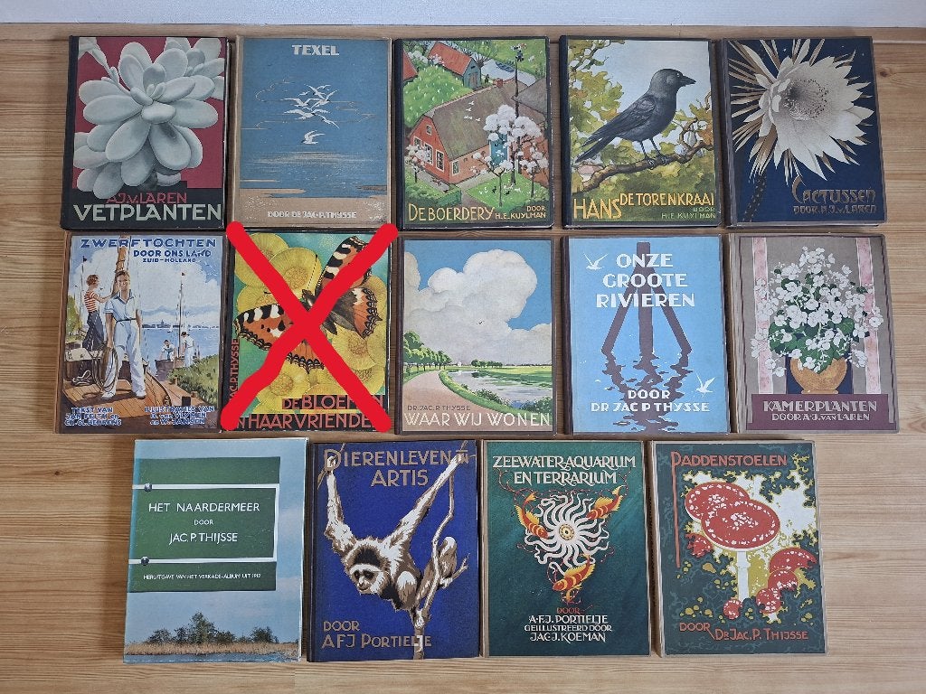 Vintage Verkade- albums boeken, Antiek en Kunst, Ophalen of Verzenden, Diverse auteurs