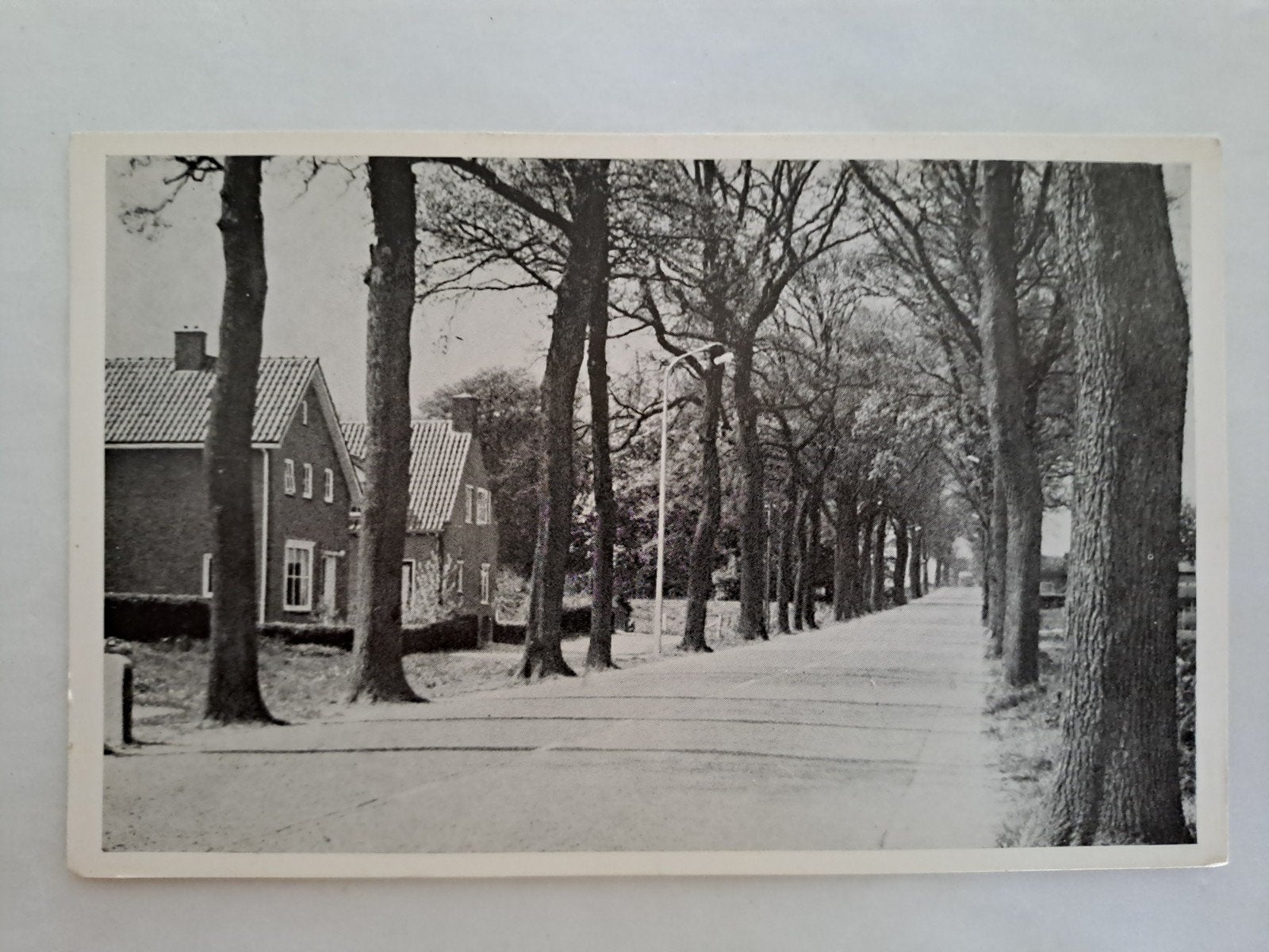 steekwijkerwold, Ophalen of Verzenden