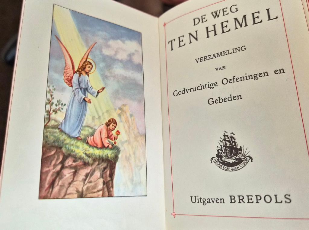 Gebedenboek - De Weg Ten Hemel, Ophalen of Verzenden, Zo goed als nieuw, Christendom | Katholiek