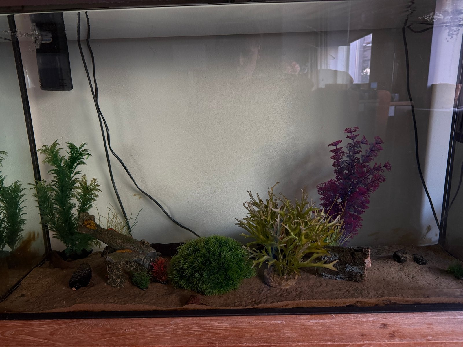 Mooi aquarium met axelottles, Dieren en Toebehoren, Aquaforest, Verlichting of Verwarming, Ophalen of Verzenden, Zo goed als nieuw