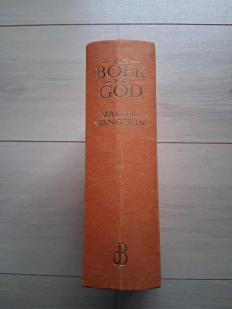 Het boek van God, Walter Wangerin, Boeken, Ophalen of Verzenden, Gelezen, Walter Wangerin