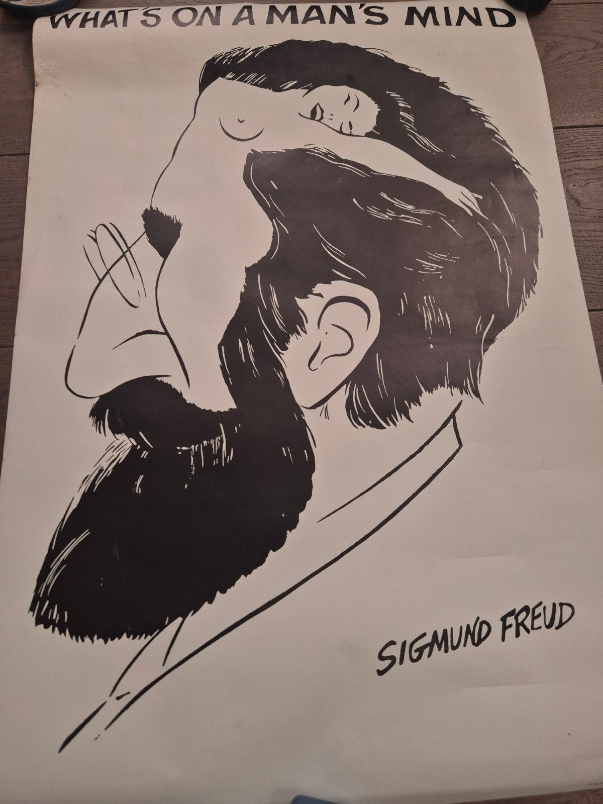 Originele poster Freud What's on a man's mind, Verzamelen, Ophalen, Gebruikt, A1 t/m A3, Film en Tv