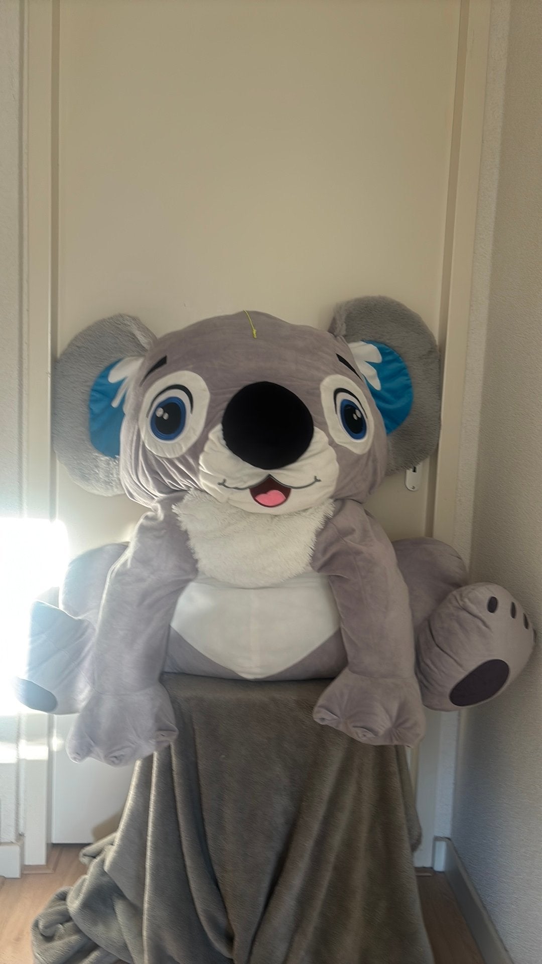 Zachte koala knuffel, Overige karakters, Ophalen, Zo goed als nieuw, Overige typen