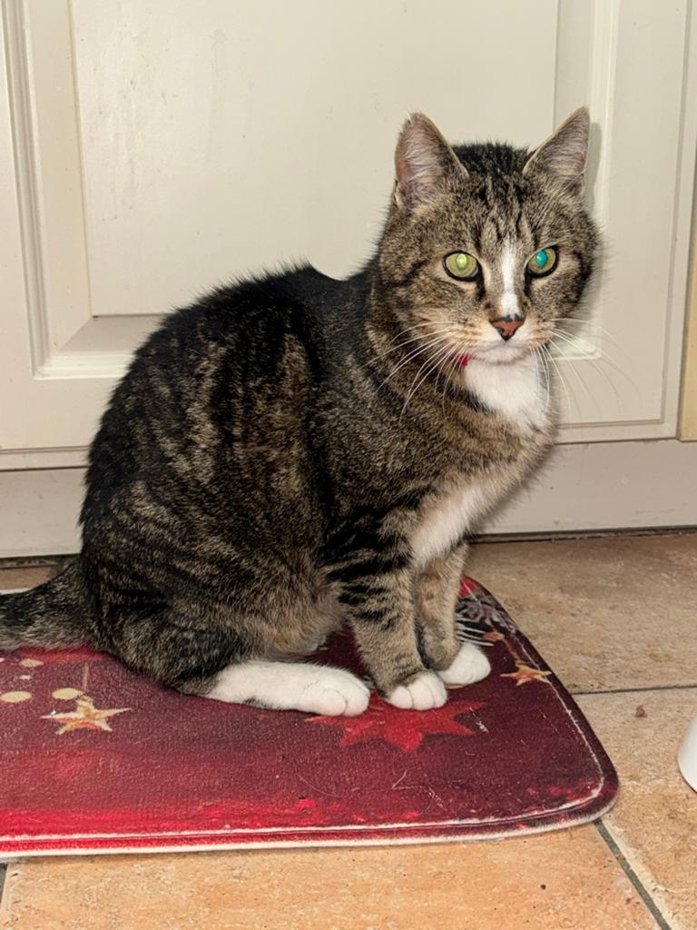 Kater, Ophalen, Rechthoekig
