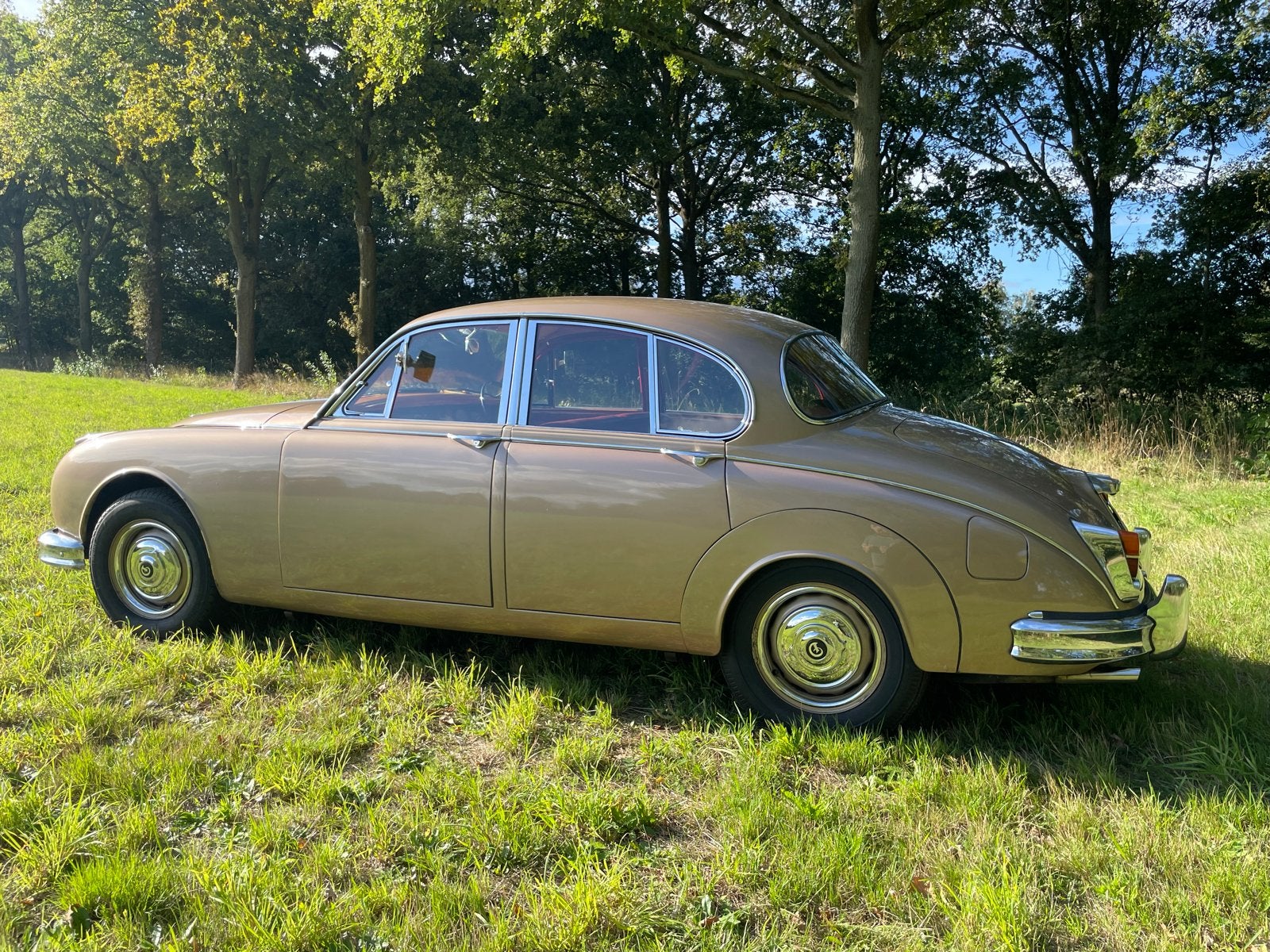 Daimler Saloon 2.5 L V8 AUT 1965 Bruin, foto 3