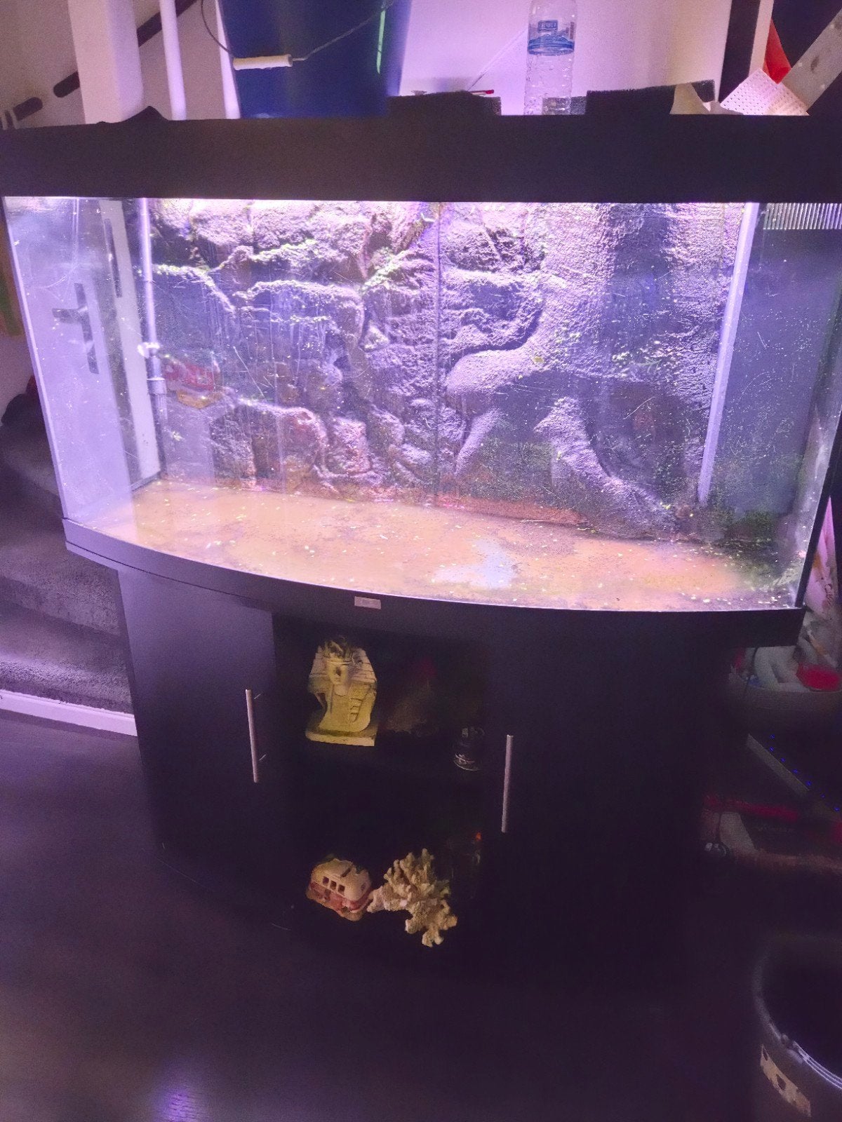 juwel rio 240 gratis af te halen, Dieren en Toebehoren, Ophalen, Gebruikt, Leeg aquarium