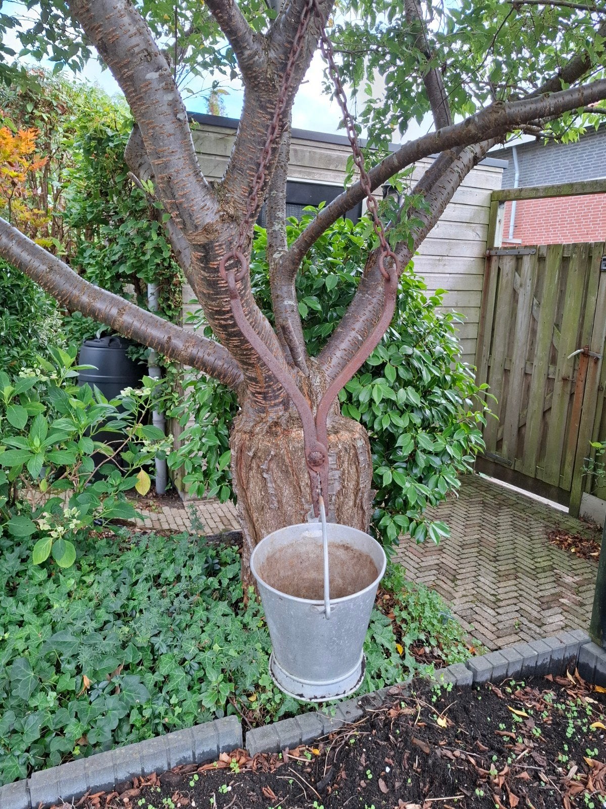 Oude tuinhaak met plantenbak - Decoratief en functioneel, Ophalen of Verzenden
