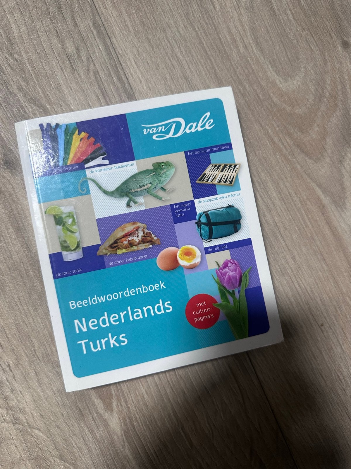 Van Dale Beeldwoordenboek Nederlands Turks, Boeken, Ophalen of Verzenden, Zo goed als nieuw, Non-fictie
