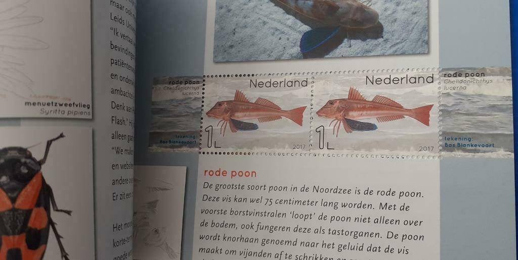 Prestigeboekje 72 - Leven in de Noordzee, Ophalen of Verzenden, Na 1940, Postfris