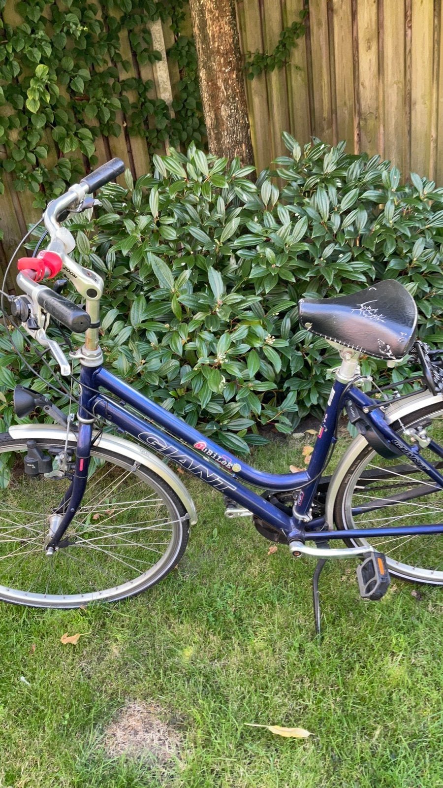 Giant Jubilee damesfiets, Ophalen, Gebruikt, Giant