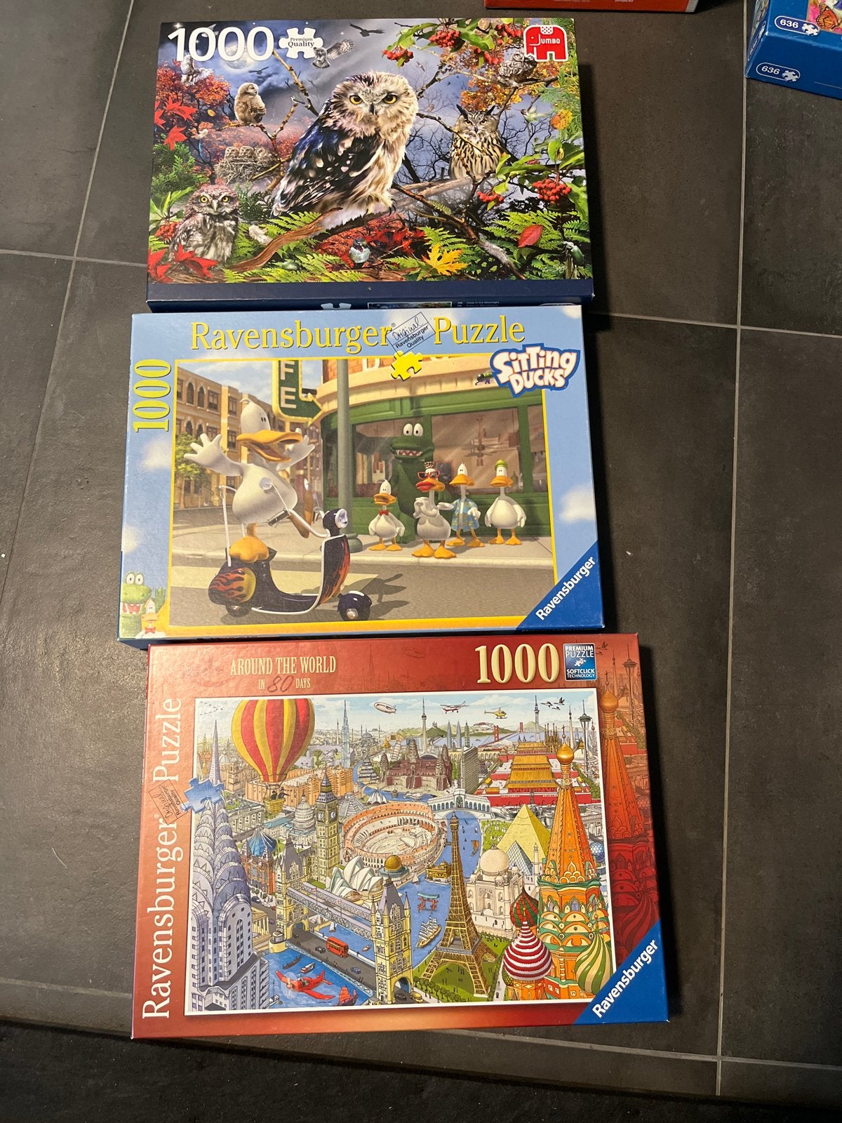 Ravensburger Puzzels - Diverse Thema's (1000 stukjes), Ophalen of Verzenden, 500 t/m 1500 stukjes, Gebruikt, Legpuzzel