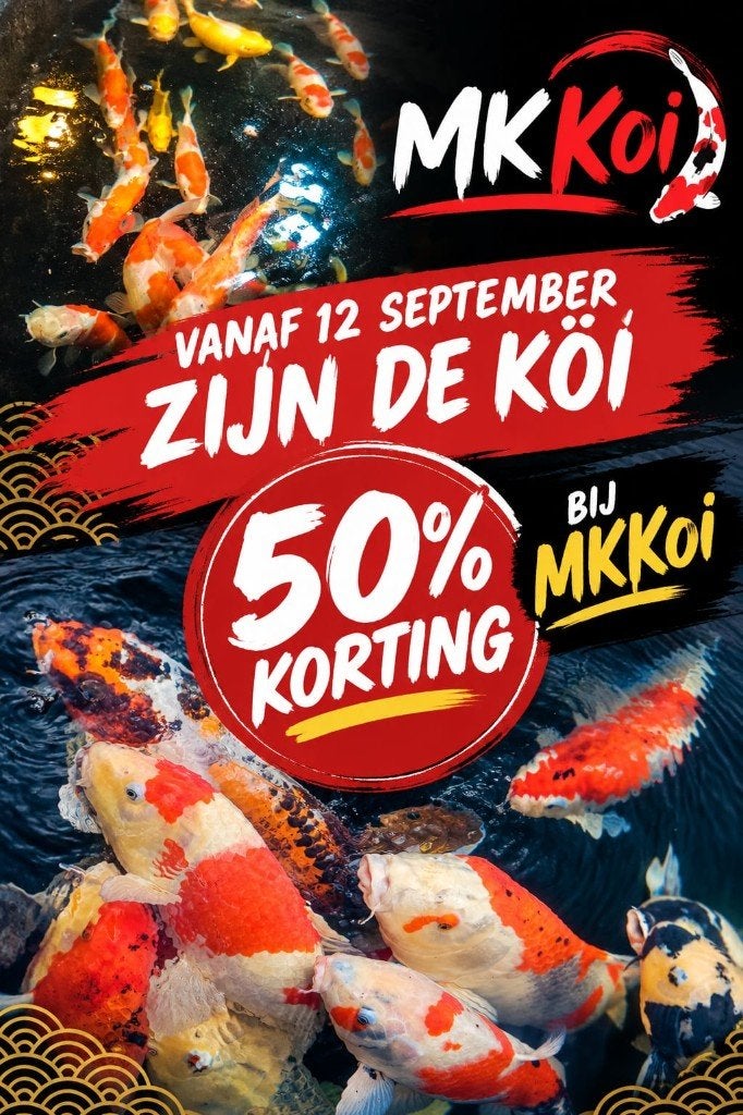 Koi 1000 stuks, Karper of Koi
