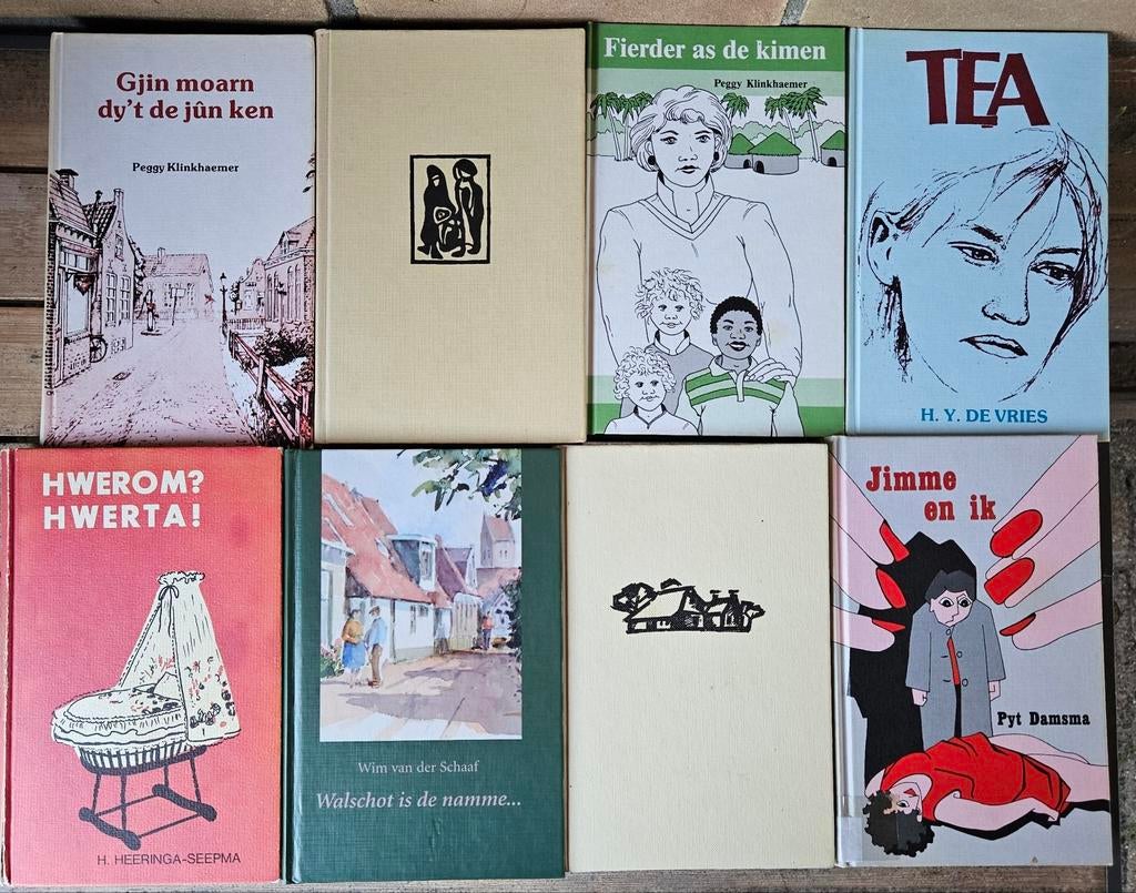 Friese boeken, Ophalen of Verzenden, Zo goed als nieuw