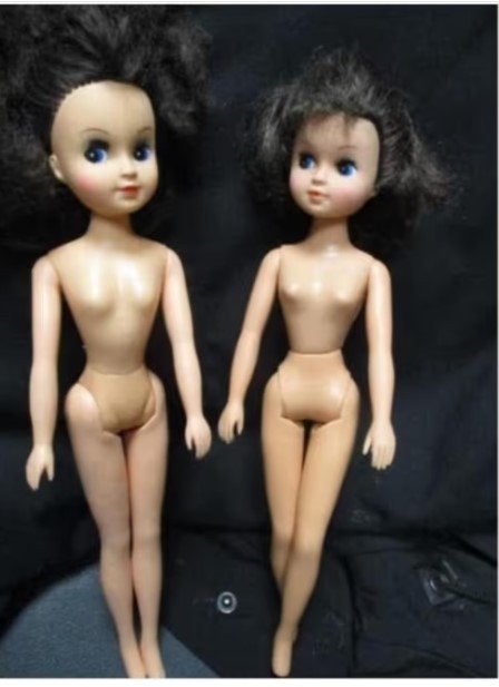 2 SINDY/FLEUR DOLLS, Verzamelen, Poppen, Gebruikt, Fashion Doll, Verzenden
