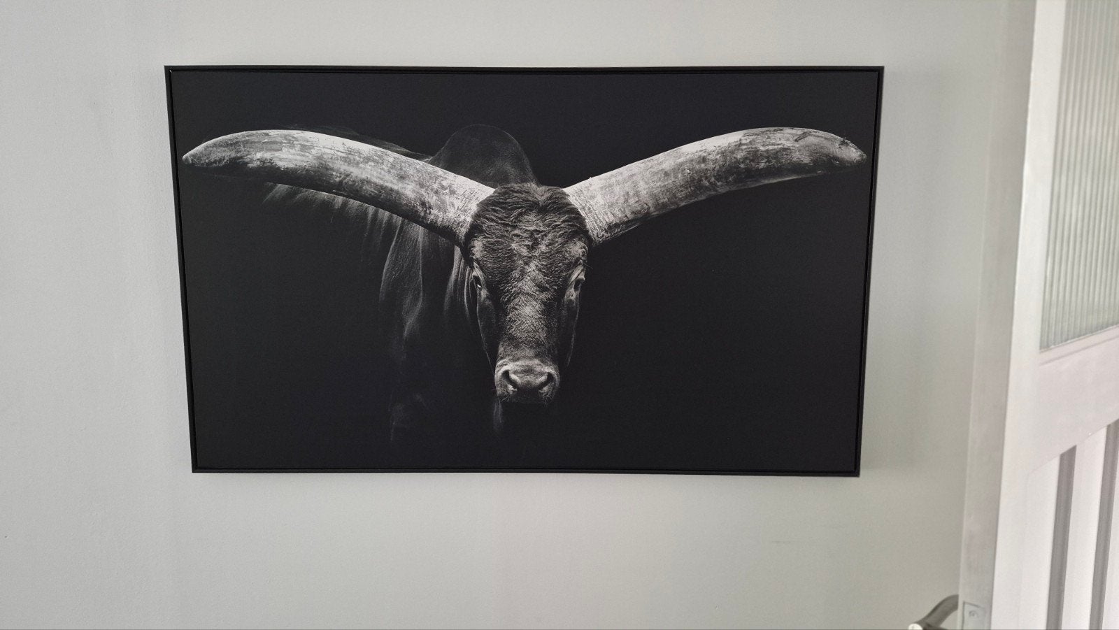 Canvas in lijst - Stier met grote hoorns (117,5x70 cm), Ophalen