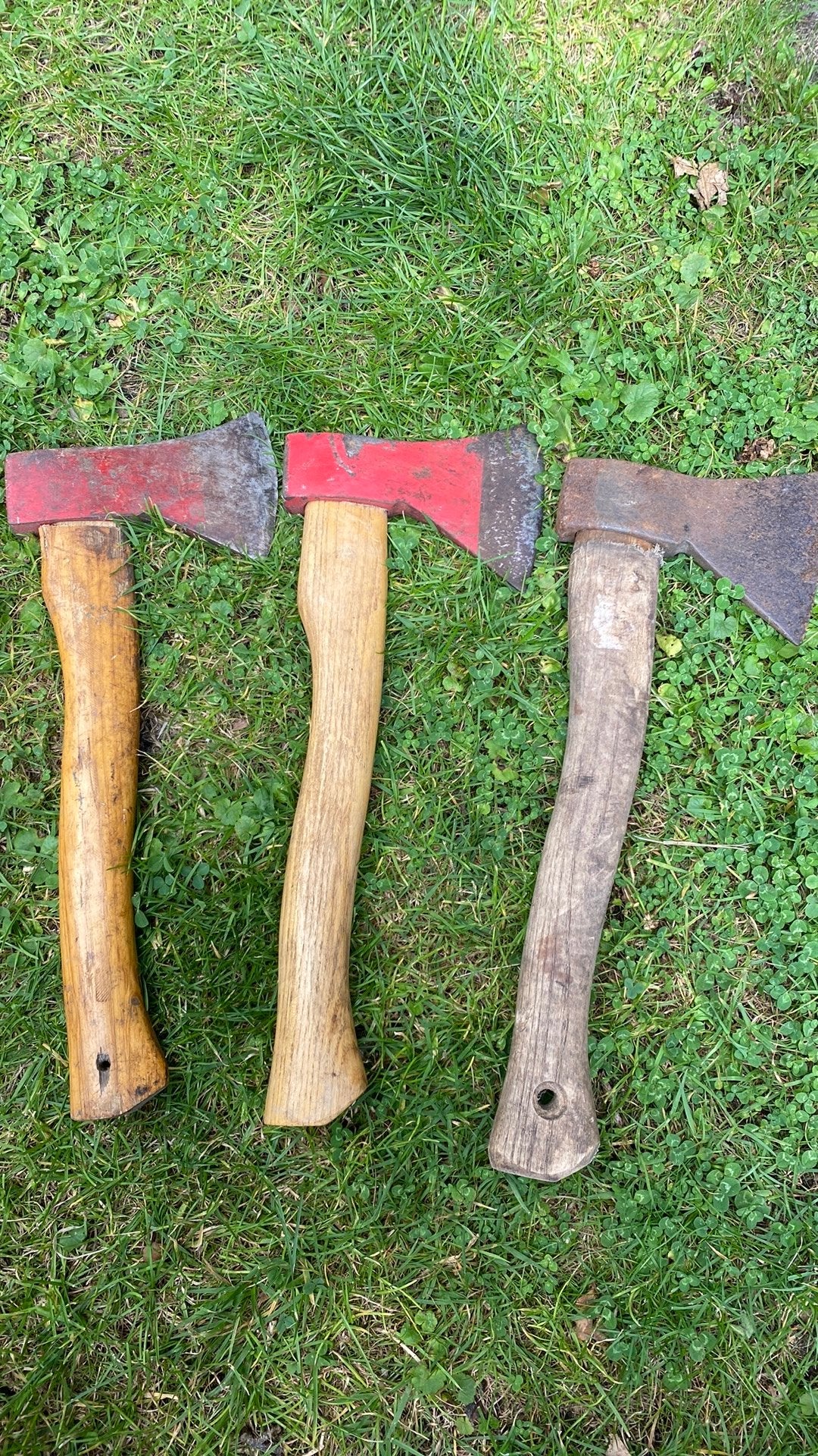 Bijl….diverse €6 per stuk, Tuin en Terras, Hand-tuingereedschap, Ophalen of Verzenden, Gebruikt, Bijl