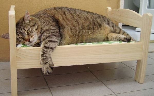 Onze bedden zijn niet voor de poes!, Kinderen en Baby's, Kinderkamer | Bedden, Nieuw, 180 cm of meer, 85 tot 100 cm, Lattenbodem