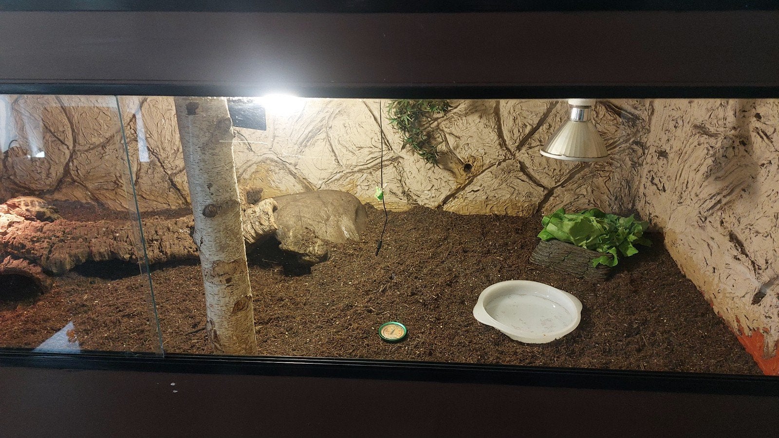 terrarium 190x95x70, Ophalen, Gebruikt