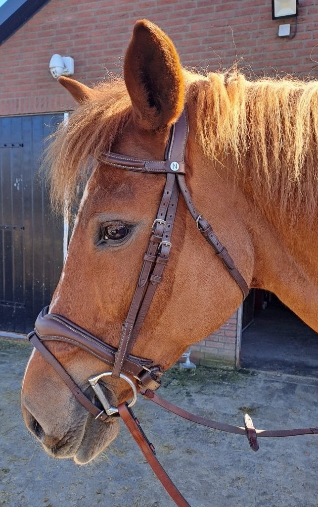 Mooi zgan. soepel bruin hoofdstel met teugels, Dieren en Toebehoren, Hoofdstel, Bruin, Zo goed als nieuw, Inclusief teugels