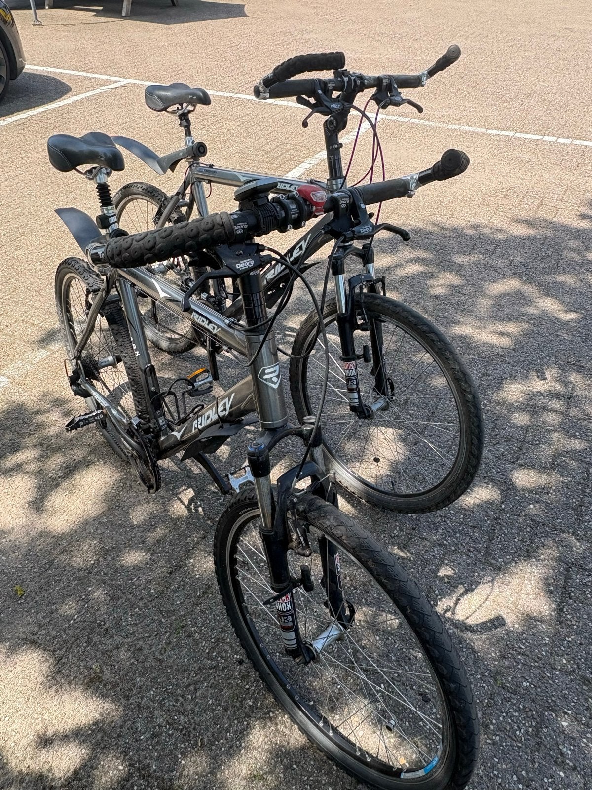 2x Ridley Mountainbike - Goede Staat, Gebruikt, Hardtail, 53 tot 57 cm, Ophalen